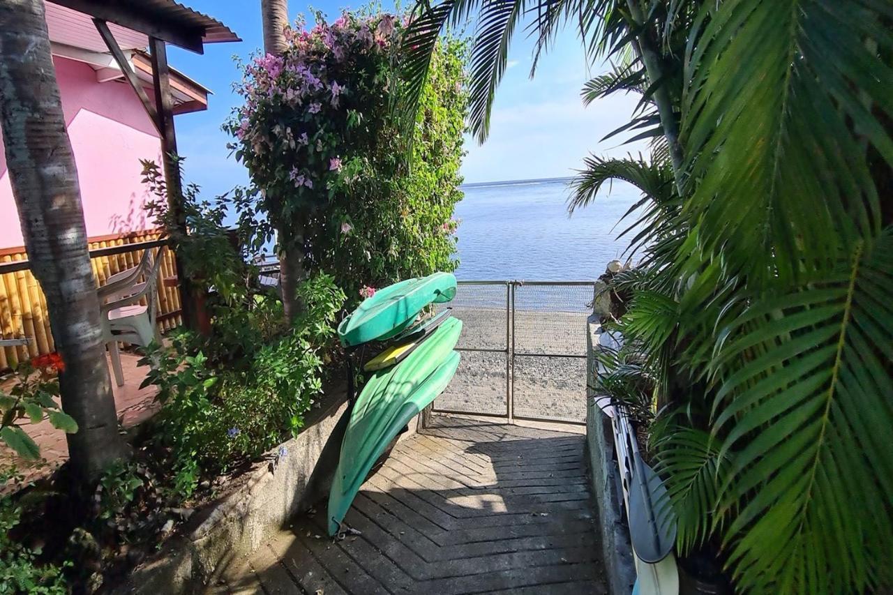 La Maison D'Artiste Du Bord De Mer Pa'ea Eksteriør billede